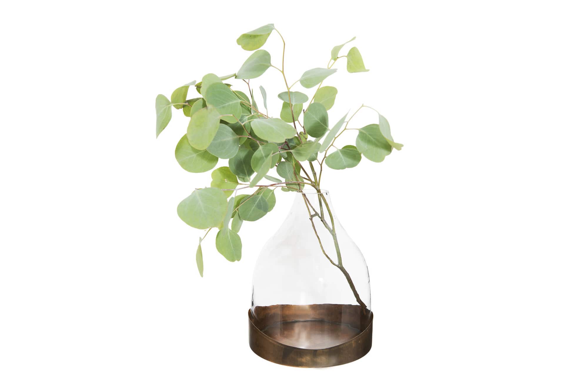 Hello Honey® Glass Cloche with Antique Copper Metal Tray